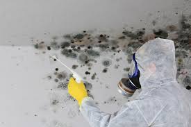 Best Mold Remediation for Healthcare Facilities  in Bolindale, OH